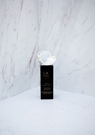Diamond Partner Of The Year 2023
