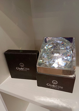 Diamond Partner Of The Year 2023